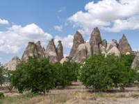 Maulbeerbäume vor Gruppe grauer, spitzer Felskegel im Schwertertal